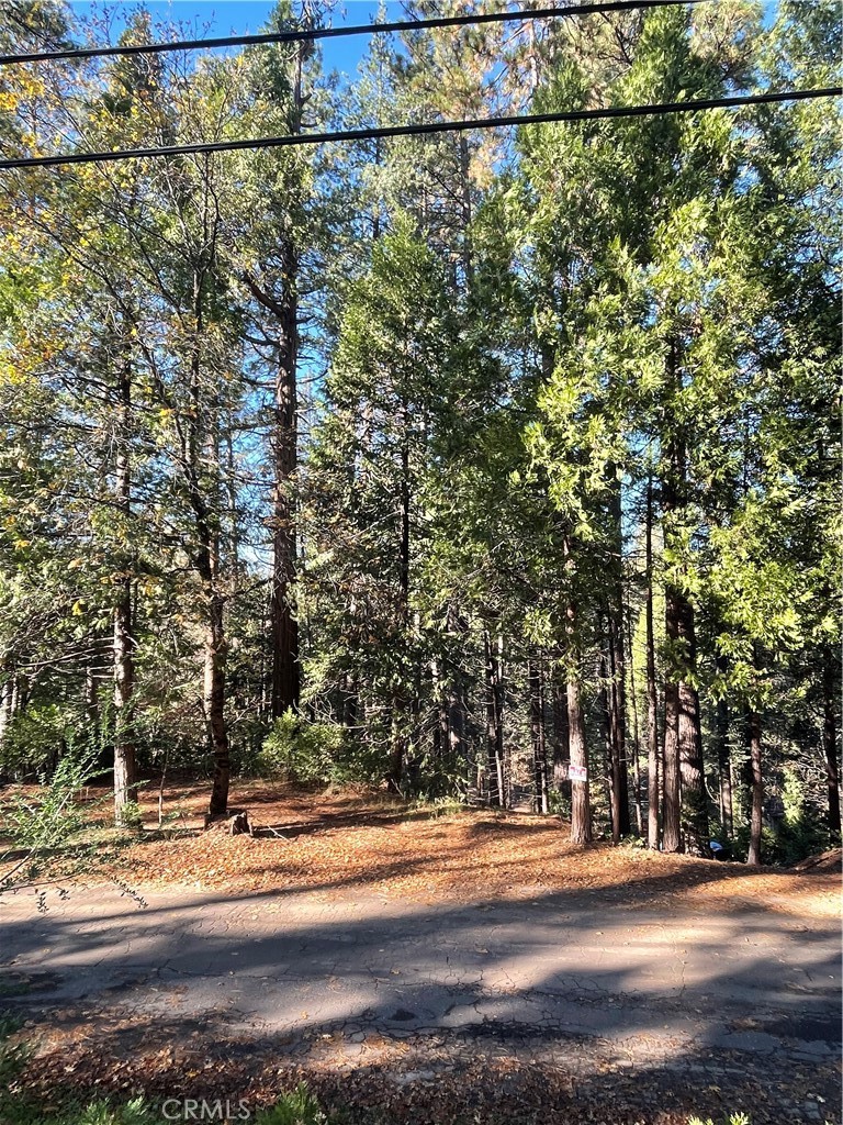 22447 Ponderosa Dr, Twain Harte, CA 95383