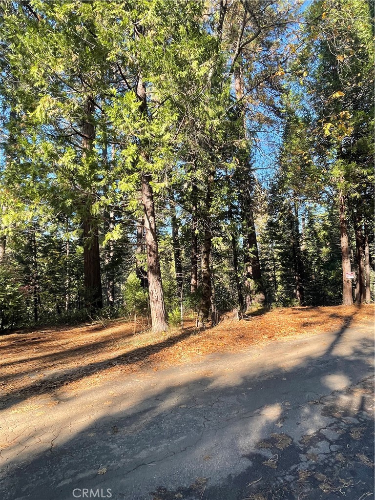 22447 Ponderosa Dr, Twain Harte, CA 95383