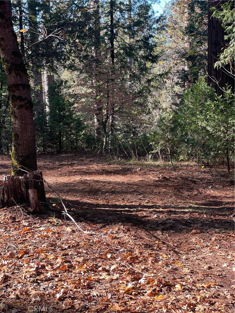 22447 Ponderosa Dr, Twain Harte, CA 95383