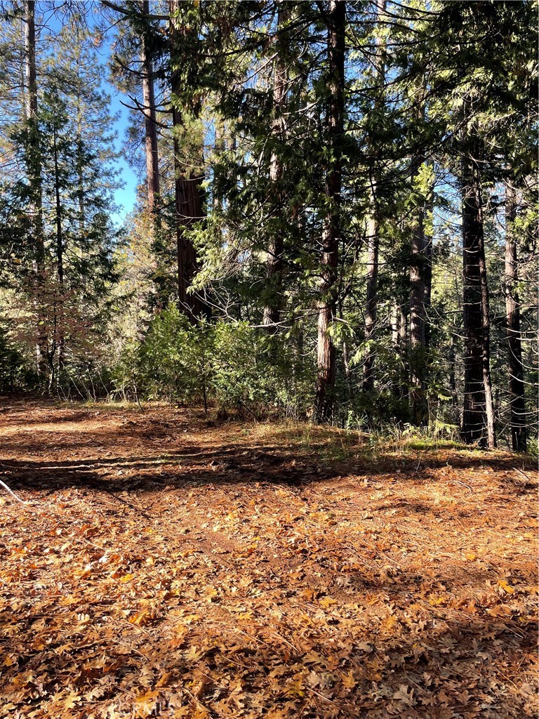 22447 Ponderosa Dr, Twain Harte, CA 95383